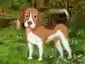 게임 Flower Garden Dog Escape 온라인