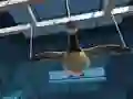 게임 Goose Museum 온라인