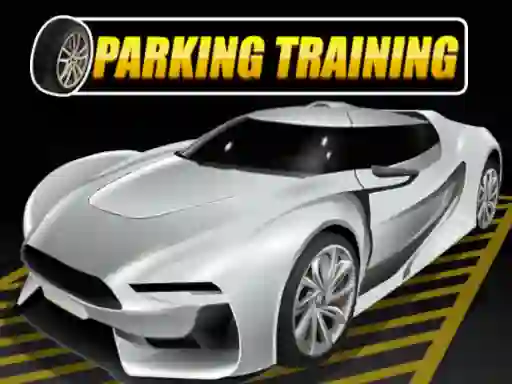 게임 Parking Training 온라인