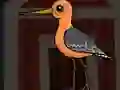 게임 Cute Godwit Escape 온라인