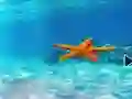 게임 Escape From Underwater Starfish 온라인