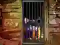 게임 Hidden Cat Escape 온라인