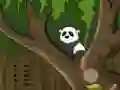 게임 Panda Jungle Escape 온라인