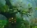 게임 Innocent Sparrow Couple Escape 온라인