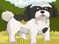 게임 Dogs Spot the Diffs Part 2 온라인