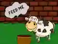 게임 Find The Cow Feed 온라인