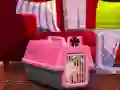 게임 Escape The Small Pug 온라인