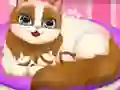 게임 Cute Kitty Pregnant 온라인