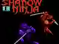 게임 Shadow of the Ninja 온라인