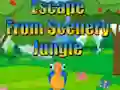 게임 Escape from Scenery Jungle 온라인