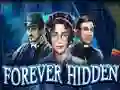 게임 Forever Hidden 온라인