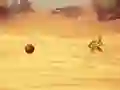 게임 Monkey Shooting 온라인