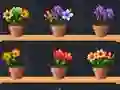 게임 Good Flower Master 온라인