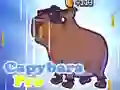 게임 Capybara Pro 온라인