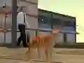 게임 Cat City Simulator 온라인