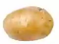게임 Potato 온라인