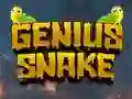 게임 Genius Snake 온라인