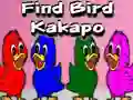 게임 Find Bird Kakapo 온라인