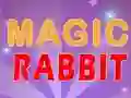 게임 Magic Rabbit 온라인