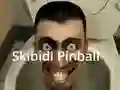 게임 Skibidi Pinball 온라인