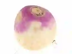 게임 Turnip 온라인