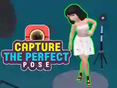게임 Capture the Perfect Pose 온라인