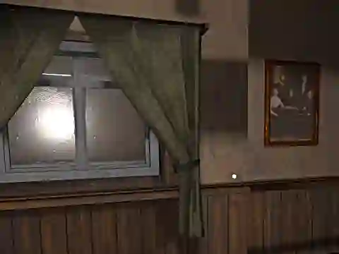 게임 Hide and Seek Pro 온라인