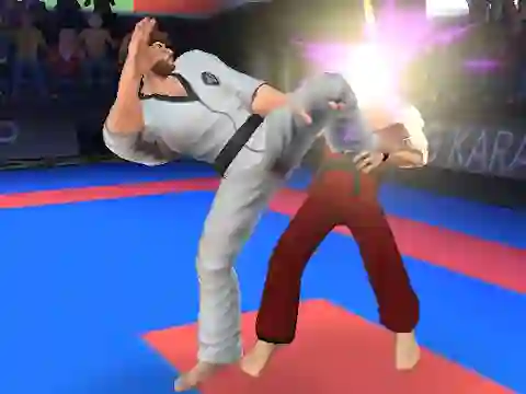게임 Karate Fighter 온라인