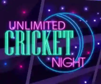 게임 Unlimited Cricket Night 온라인