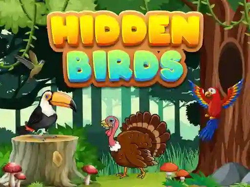 게임 Hidden Birds 온라인