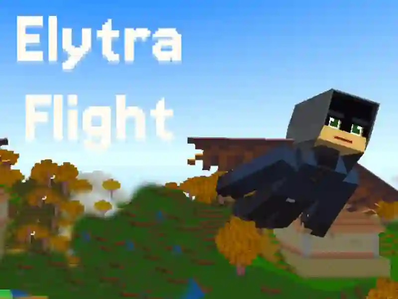 게임 Elytra Flight 온라인