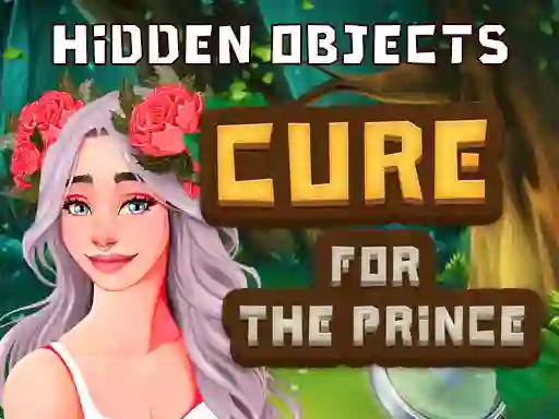 게임 Hidden Objects Cure For The Prince 온라인
