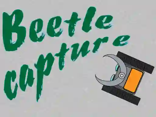 게임 Beetle Capture 온라인