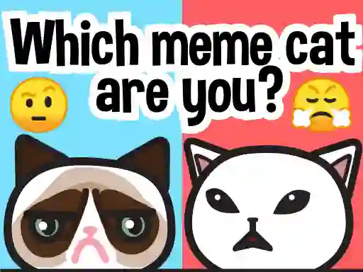 게임 Which Meme Cat Are You? 온라인