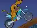 게임 Scooby Doo Trail 온라인
