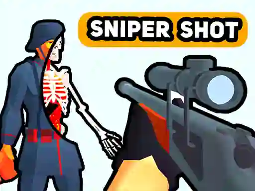 게임 Sniper Shot: Bullet Time 온라인