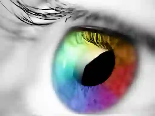 게임 Colours And Designs 온라인