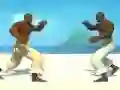 게임 Capoeira fighter 온라인