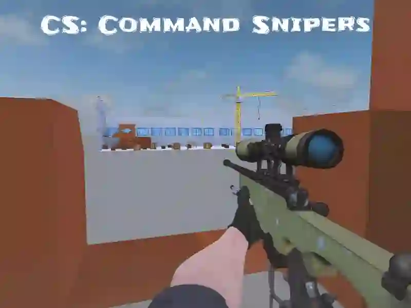 게임 CS: Command Snipers 온라인
