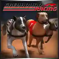 게임 Greyhound Racing 온라인