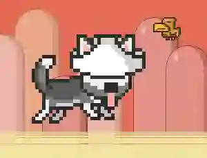 게임 Mr Jump Husky 온라인