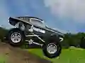 게임 Crazy Mustang 온라인