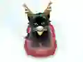 게임 Pet Sledding 온라인