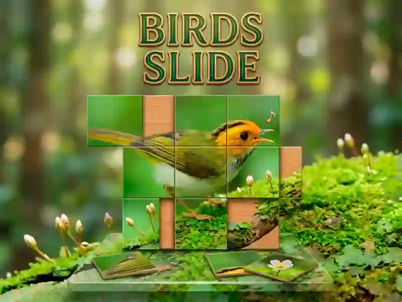 게임 Birds Slide 온라인