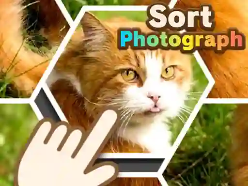 게임 Sort Photograph 온라인