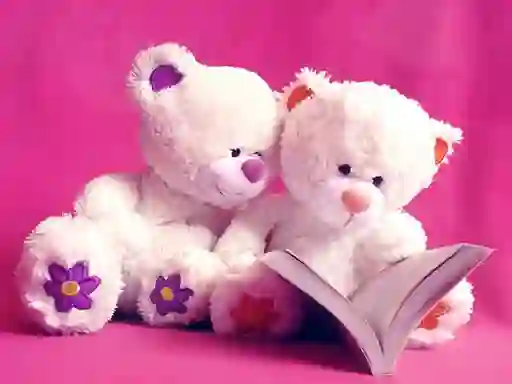 게임 Cute Teddy Bears Slide 온라인