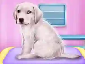 게임 Labrador at the doctor salon 온라인