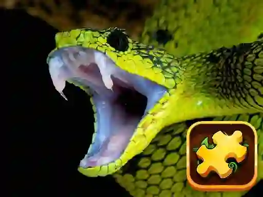 게임 Snake Puzzle Challenge 온라인