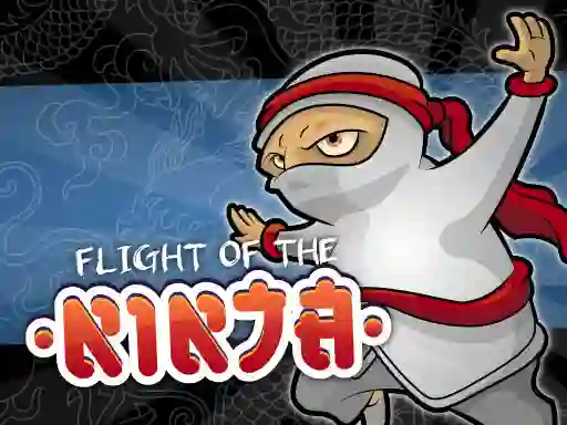 게임 Flight Of The Ninja 온라인