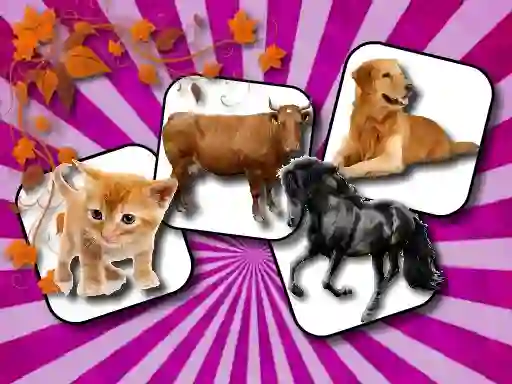 게임 Domestic Animal Memory Challenge 온라인